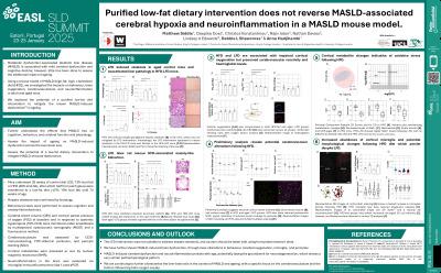 Purified low-fat dietary intervention does not reverse MASLD-associated cerebral hypoxia and neuroinflammation in a MASLD mouse model