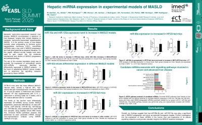 Hepatic miRNA expression in experimental models of metabolic dysfunction-associated steatotic liver disease