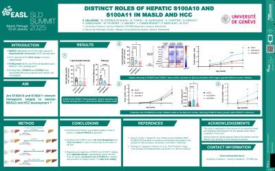 Distinct roles of hepatic S100A10 and S100A11 in metabolic dysfunction-associated steatotic liver disease and hepatocellular carcinoma