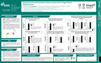 Hepatocyte-derived extracellular vesicles carrying miR-21 trigger muscle cell dysfunction