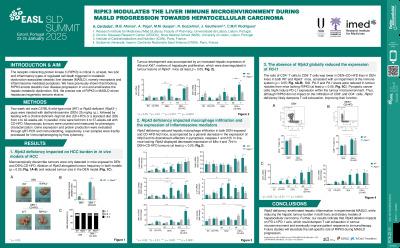 RIPK3 modulates the liver immune microenvironment during MASLD progression towards hepatocellular carcinoma