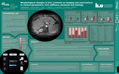 Morphological changes in liver cirrhosis on imaging and associations to clinical parameters, liver stiffness, steatosis and etiology