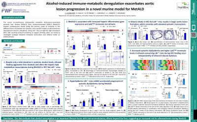 Alcohol-induced immune-metabolic deregulation exacerbates aortic lesion progression in a novel murine model for MetALD