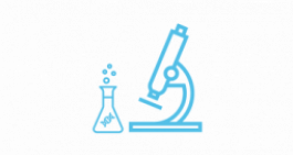 Basic Techniques in Experimental Hepatology at a Glance